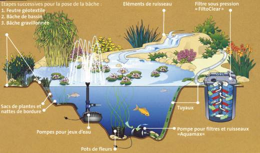 Construire un Bassin Extérieur  Comment Creuser un Jardin d'eau