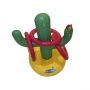 Jeu de lancer cactus Kerlis