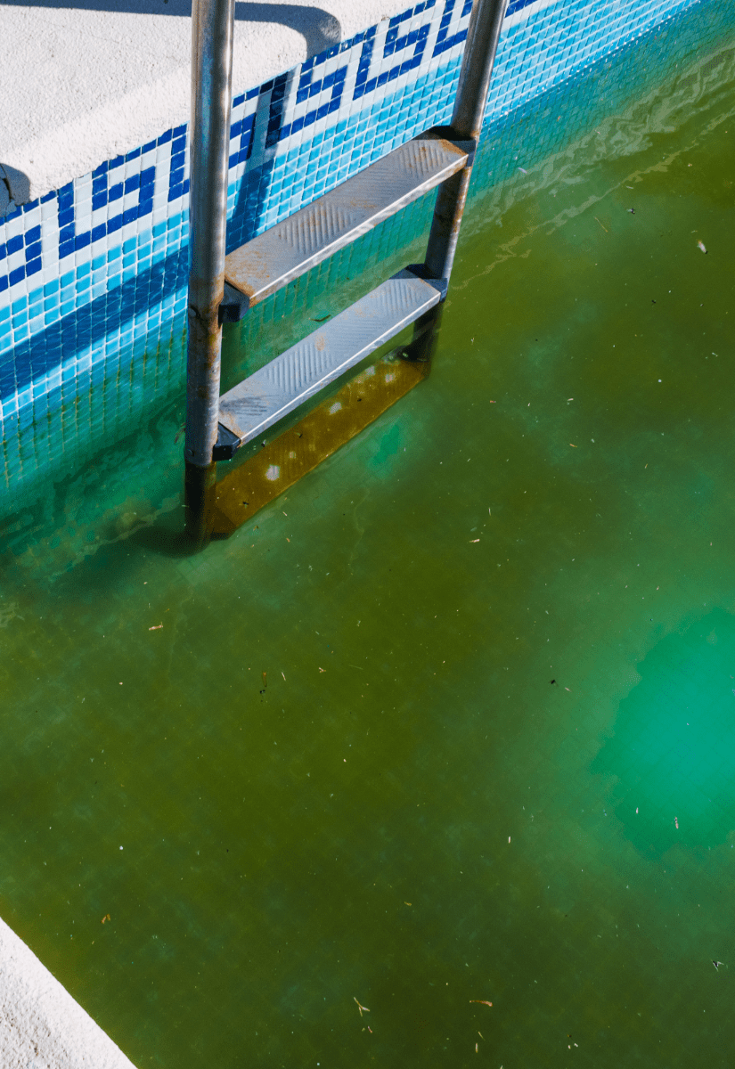 Comment rattraper l'eau verte de sa piscine ?